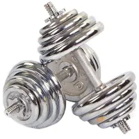 Гантель Arena Sport 800440 40 кг/ Количество в наборе - 2