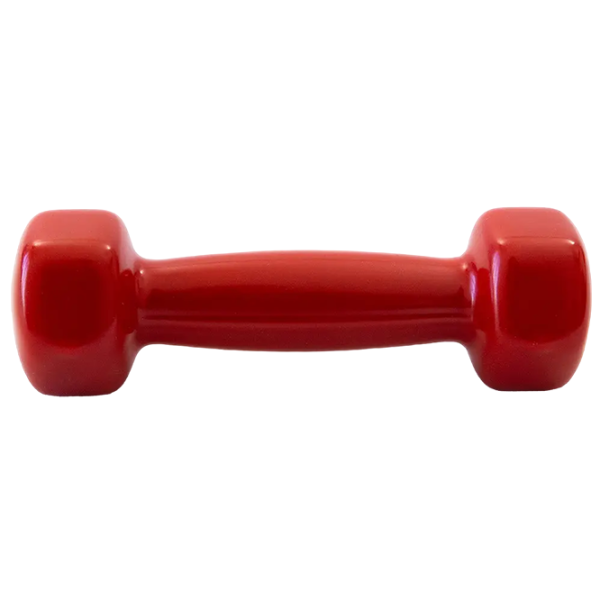 Ganteră Arena Sport A8005 0.5 kg/ Cantitatea în set - 1 photo 1