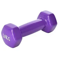 Гантель Arena Sport A801 1 кг/ Количество в наборе - 1