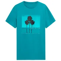 Футболка для мужчин 4F h4l22-tsm044 100% хлопок/ Бирюзовый