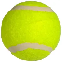 Minge pentru tenis Androni Giocattoli 5952-0000 Poliuretan/ Amator photo 2