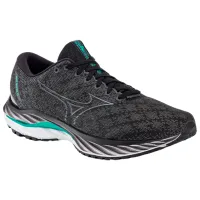 Adidași pentru bărbați Mizuno Wave Inspire 19 43/ Black