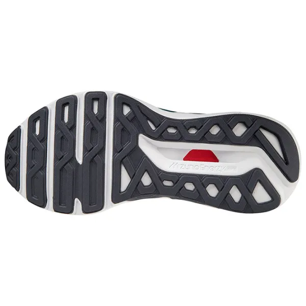 Adidași pentru bărbați Mizuno Wave Horizon 6 45/ Ebony photo 4