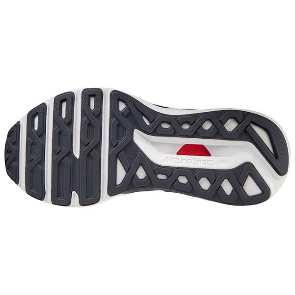 Adidași pentru bărbați Mizuno Wave Horizon 6 45/ Ebony photo 4