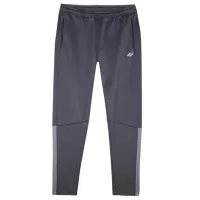 Спортивные брюки для мужчин 4F 4FWSS24TFTRM670 XL/ Серый