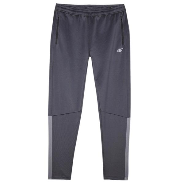 Pantaloni sportivi pentru bărbați 4F 4FWSS24TFTRM670 XXL/ Gray photo 1