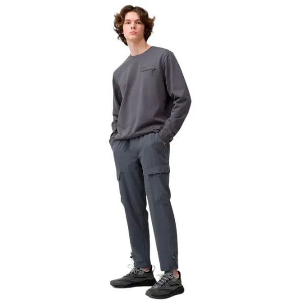 Спортивные брюки для мужчин 4F 4Fss23ttrom136 S/ Серый photo 2