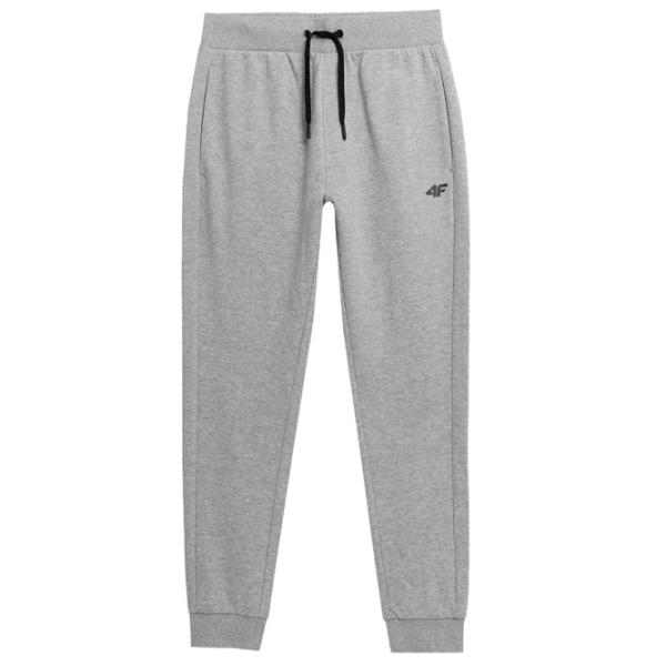 Спортивные брюки для мужчин 4F 4Fss23ttrom223 S/ Серый photo 1