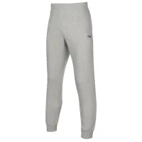 Pantaloni sportivi pentru bărbați Mizuno 32ed7010lc L/ Gray
