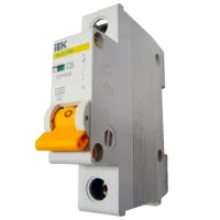 Автоматический выключатель IEK MVA21-1-006-D Модульная/ 6 A