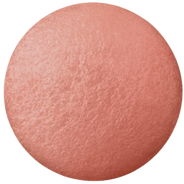 Румяна Bourjois 561327 2.5 г/ Роза photo 2
