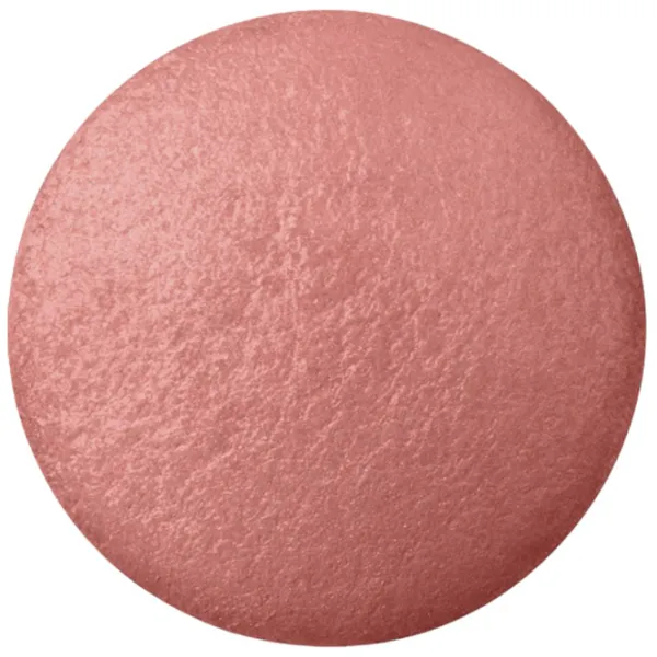 Румяна Bourjois 561319 2.5 г/ Light Pink photo 2