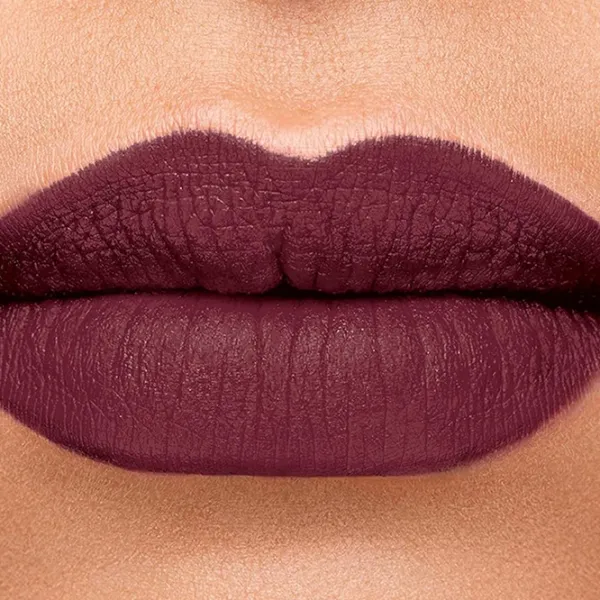 Губная помада Bourjois ROUGE VELVET INK Стик с апликатором/ Burnt Burgundy photo 3 Губная помада Bourjois ROUGE VELVET INK Стик с апликатором/ Burnt Burgundy photo 3