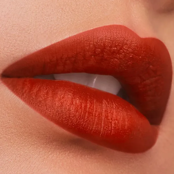Губная помада Estee Lauder PURE COLOR MATTE Stick/ Темно-красный photo 2