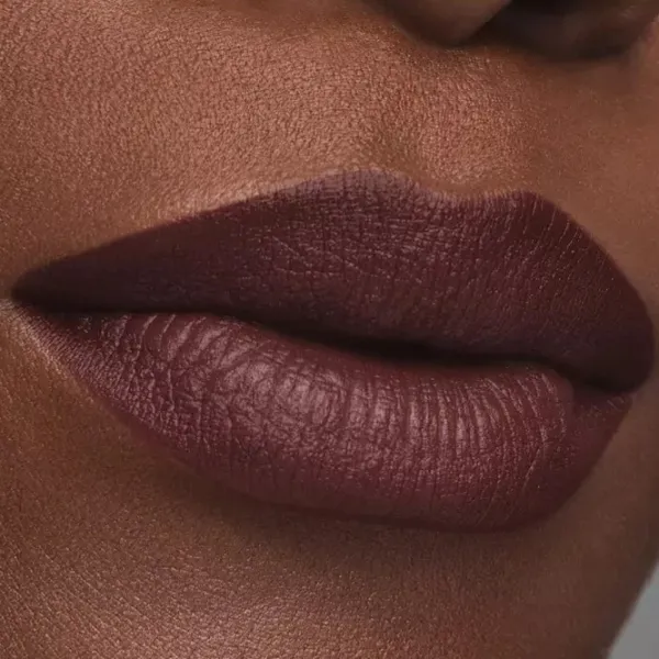 Губная помада Estee Lauder PURE COLOR MATTE Stick/ Dark chocolate photo 2