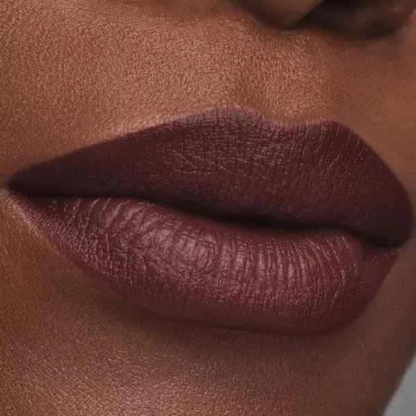 Губная помада Estee Lauder PURE COLOR MATTE Stick/ Dark chocolate photo 2