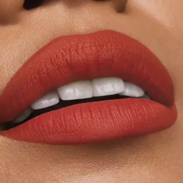 Губная помада Estee Lauder PURE COLOR MATTE Stick/ Indian Red photo 2