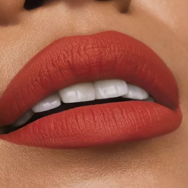 Губная помада Estee Lauder PURE COLOR MATTE Stick/ Indian Red photo 2