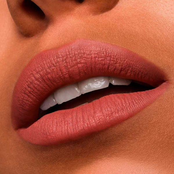 Губная помада Estee Lauder PURE COLOR MATTE Stick/ Нюдово-розовый photo 3