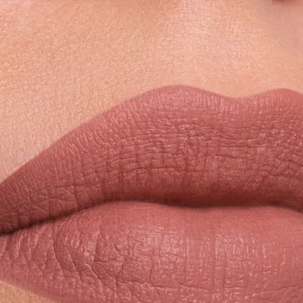 Губная помада Estee Lauder PURE COLOR MATTE Stick/ Нюдово-розовый photo 3 Губная помада Estee Lauder PURE COLOR MATTE Stick/ Нюдово-розовый photo 3