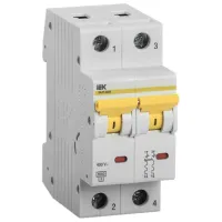 Автоматический выключатель IEK MVA41-2-006-C Модульная/ 6 A