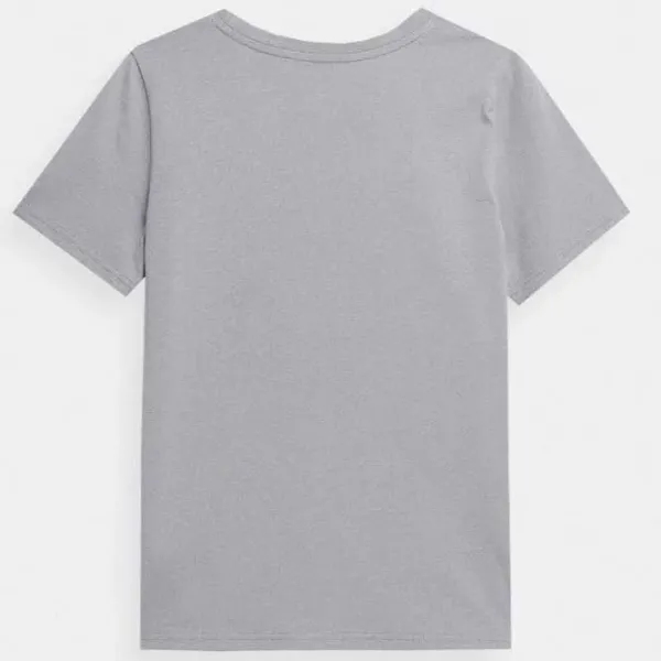 Футболка для женщин 4F 4FSS23TTSHF332 100% хлопок/ Серый photo 2