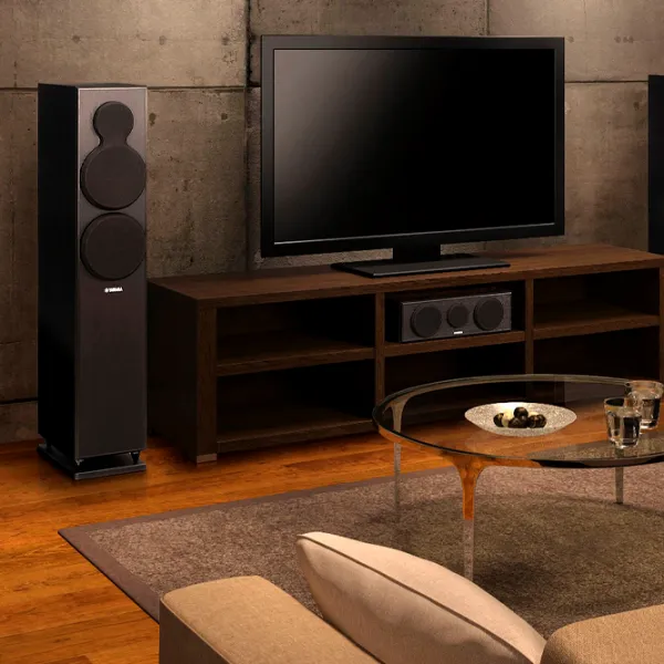 Boxe Yamaha NS-F150  / 50 W photo 2