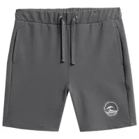 Шорты для мальчиков 4F hjl22-jskmd003 134 - 140 см/ Серый