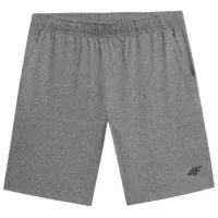 Șorțuri sport 4F 4Fs23tfshm199 XXL