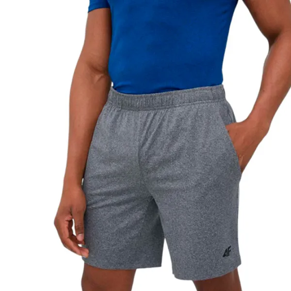 Șorțuri sport 4F 4Fs23tfshm199 M photo 2