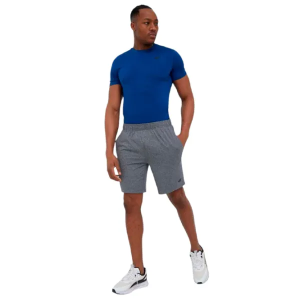 Șorțuri sport 4F 4Fs23tfshm199 M photo 4