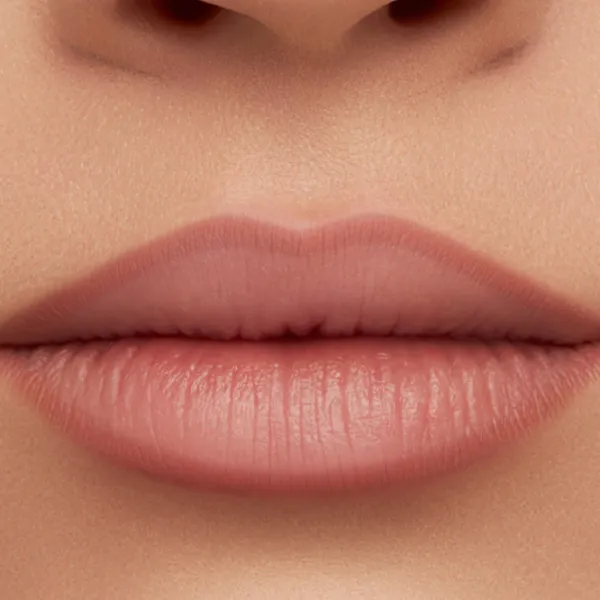 Карандаш для губ Вера VB1040004 04/ Brownish Pink photo 3