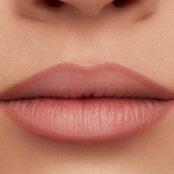 Карандаш для губ Вера VB1040004 04/ Brownish Pink photo 3