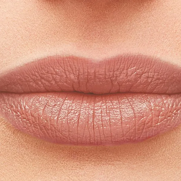 Губная помада Bourjois ROUGE FABULOUS Stick/ Blush Red photo 3 Губная помада Bourjois ROUGE FABULOUS Stick/ Blush Red photo 3