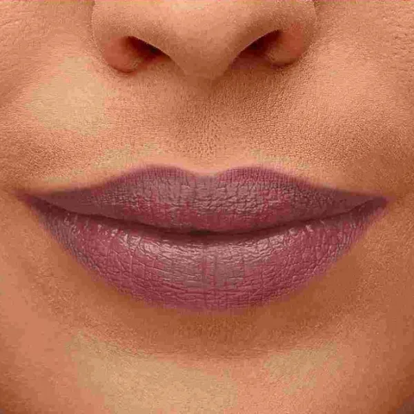 Губная помада Bourjois ROUGE FABULOUS Stick/ Mauve photo 2