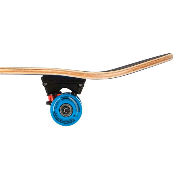 Skateboard Nils CR3108SA Фанера/ Разноцветный photo 5