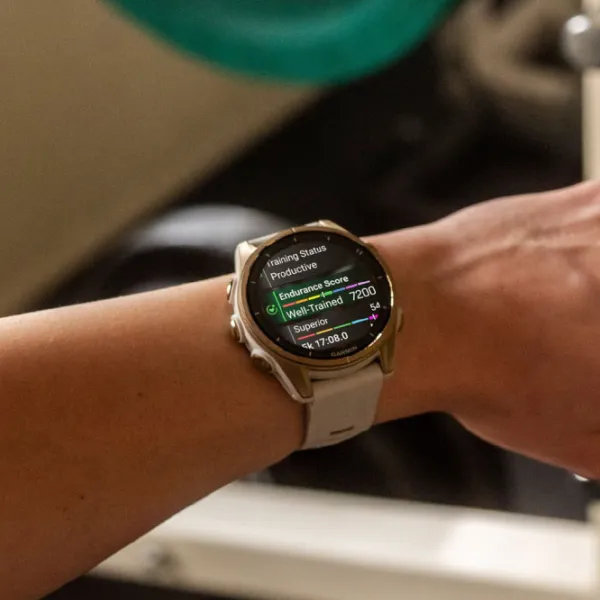 Умные часы Garmin Fenix 8 1.3"/ 43 мм/ Золото - Туманно-серый/ 010-02903-11 photo 9