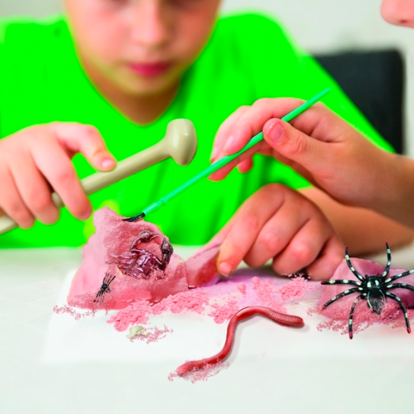 Set de creație 4M KidzLabs Creepy Crawly Digging Kit 00-03397 5+/ Multicolor Multicolor photo 5