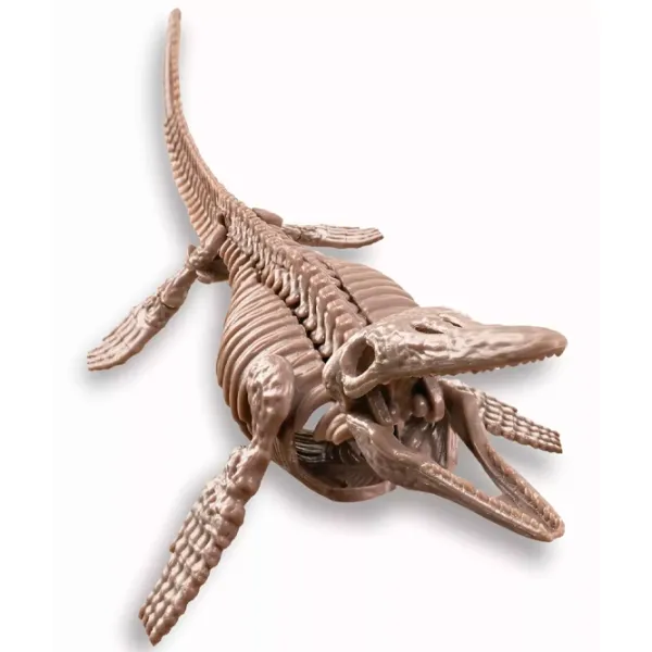 Set de creație 4M Mosasaurus Dig a Mosasaurus skeleton 00-03457 8+/ Multicolor Multicolor photo 2