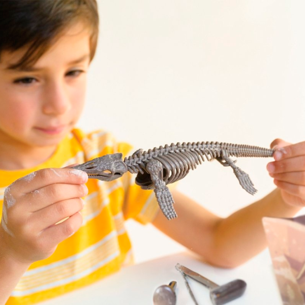 Set de creație 4M Mosasaurus Dig a Mosasaurus skeleton 00-03457 8+/ Multicolor Multicolor photo 6