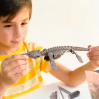 Set de creație 4M Mosasaurus Dig a Mosasaurus skeleton 00-03457 8+/ Multicolor Multicolor photo 6