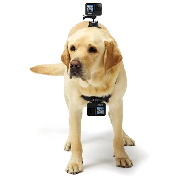 Fixator GoPro ADOGM 001 Black photo 3