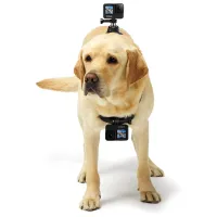 Fixator GoPro ADOGM 001 Black photo 3