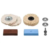 Set de lustruit Wolfcraft 2179000 Pentru metal