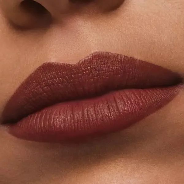 Губная помада Estee Lauder PURE COLOR MATTE Stick/ Maroon photo 3