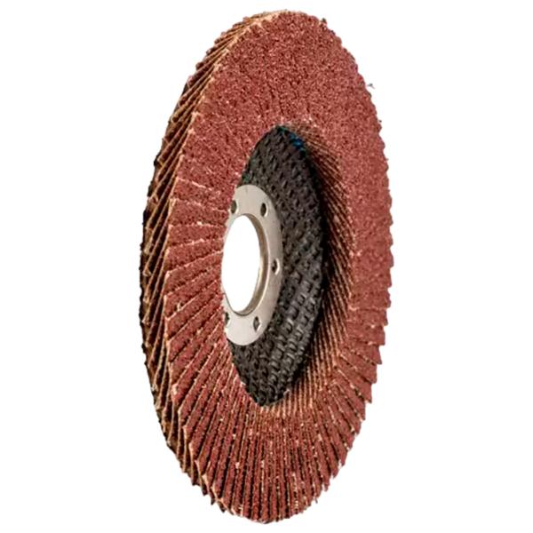 Disc lamelar Lider 310201  photo 3
