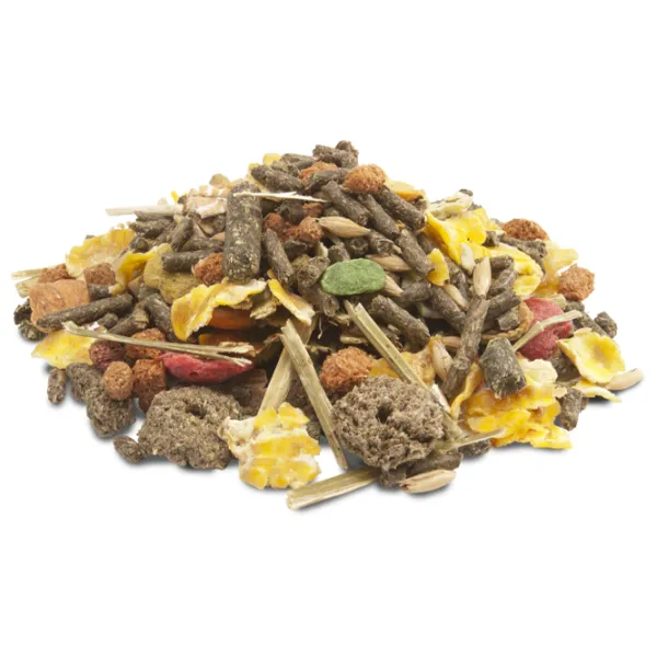 Корм для грызунов Versele-Laga Crispy Muesli Все возрасты/ 1 кг photo 2