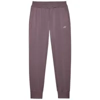 Pantaloni sportivi pentru femei 4F F454 XS/ Brown
