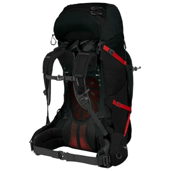 Rucsac pentru turism Osprey Aether Plus 70 Pentru trekking/ 70 l photo 2