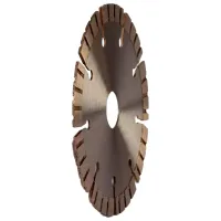 Disc diamantat segmentat Lider 201106 photo 2